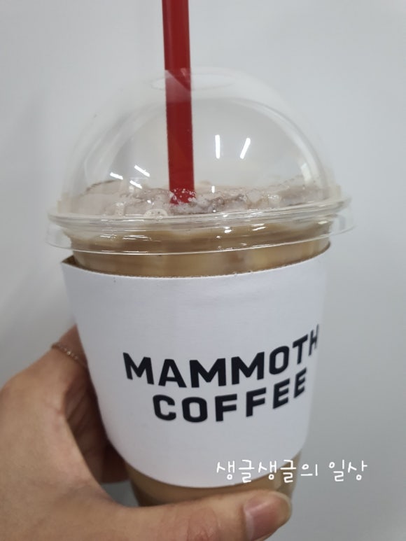 매머드익스프레스서강대 이미지