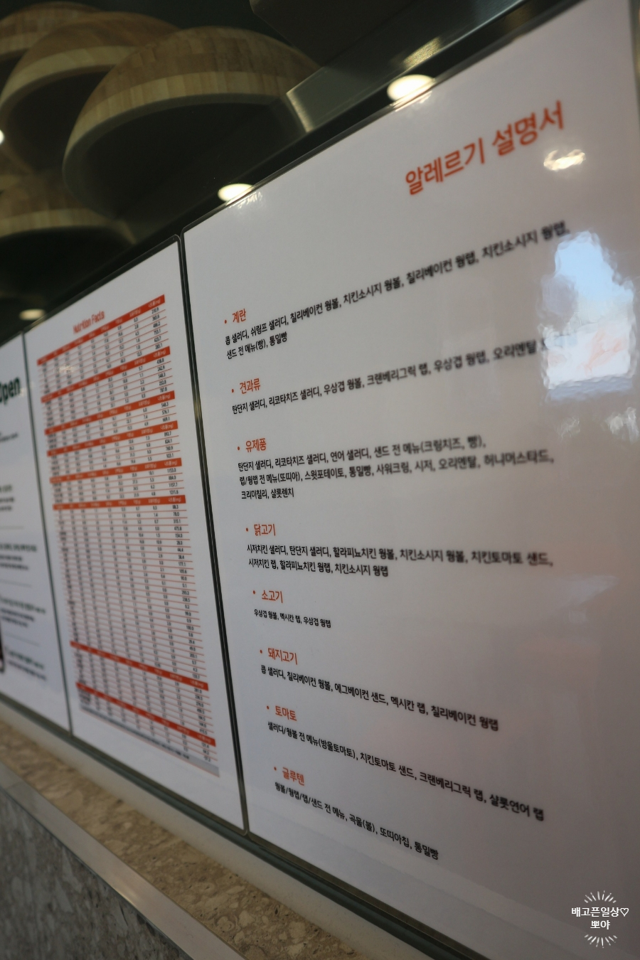 샐러디미아 이미지