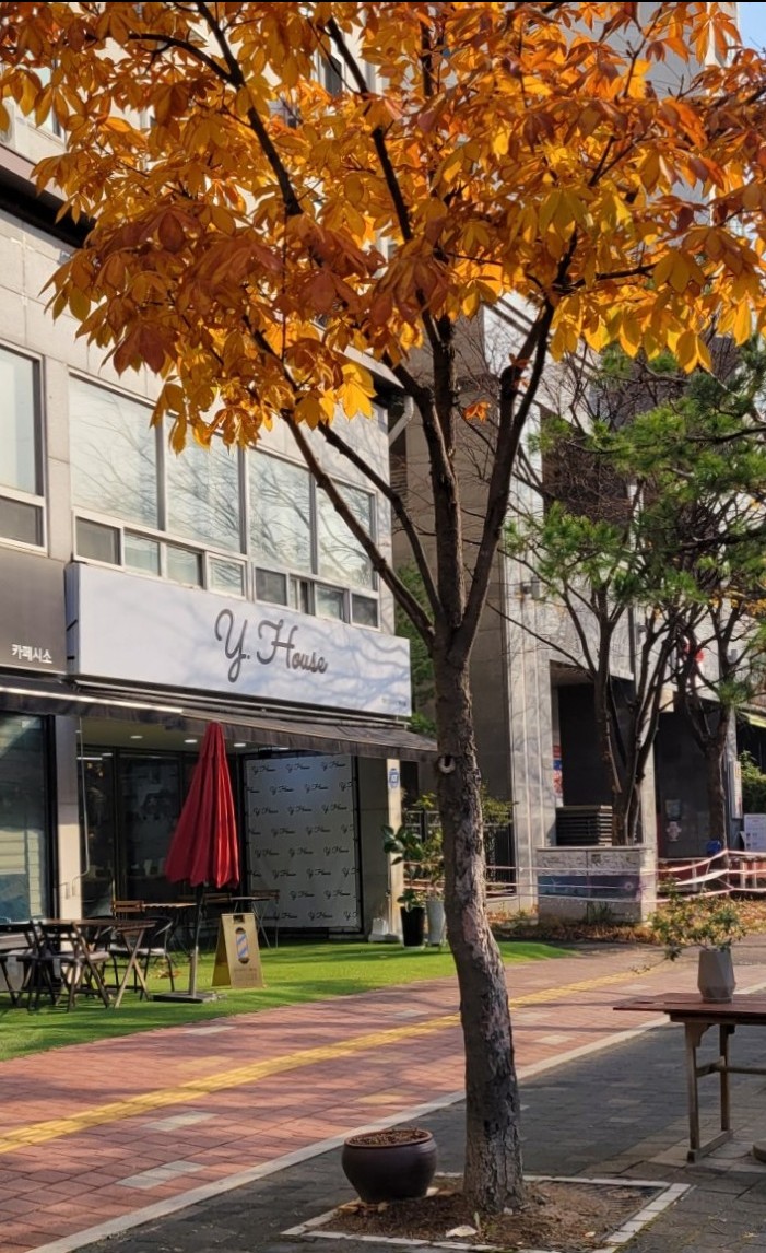 헤어하우스(HAIR HOUSE) 이미지