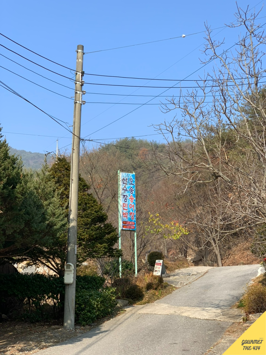 오송송어장 이미지