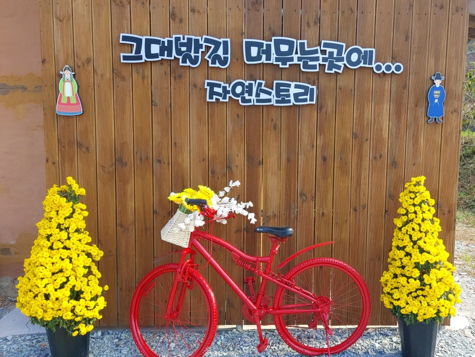 자연스토리 이미지