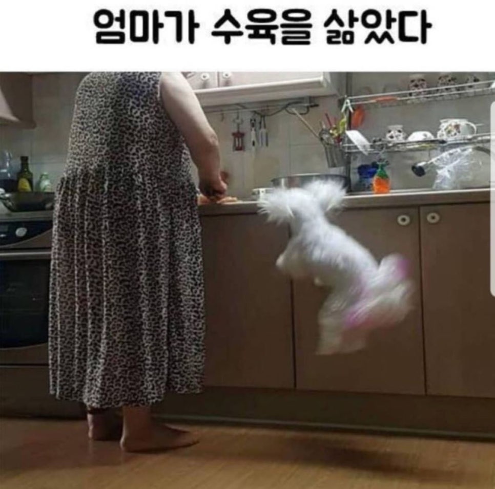 천안신강양꼬치 이미지