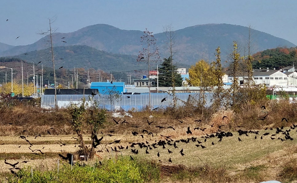 서종주 이미지
