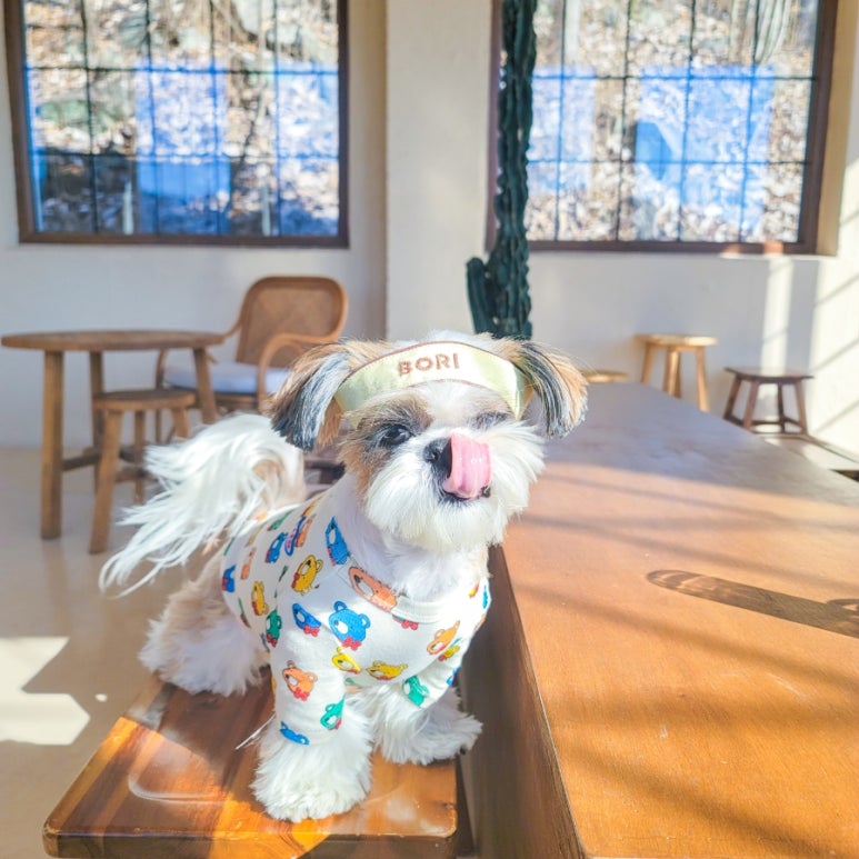 르메이애견 이미지