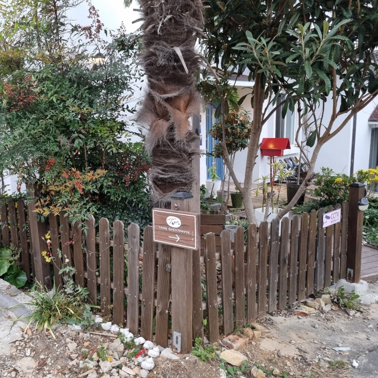 통_머물다게스트하우스 이미지
