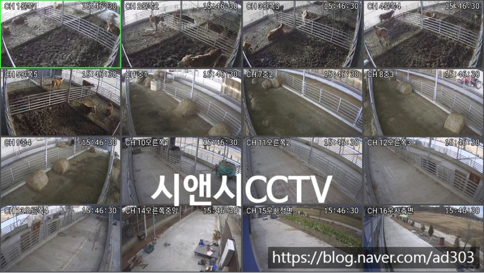 광천축산 이미지