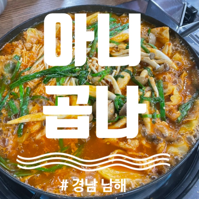 아니,곱나 이미지
