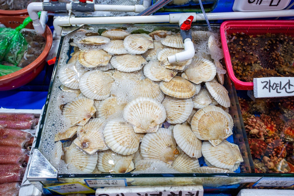 대신회식당 이미지