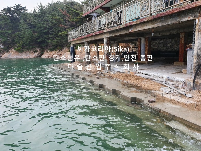 (주)다솔코리아 이미지