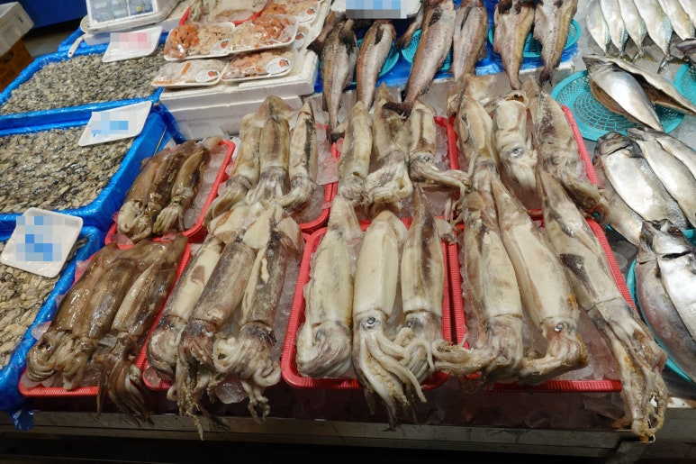 제일부자수산 이미지