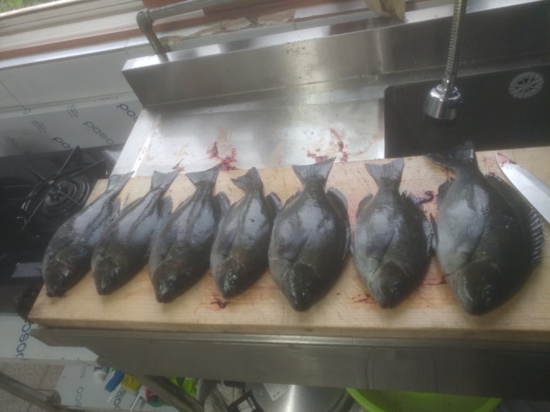 용눈이펜션 이미지