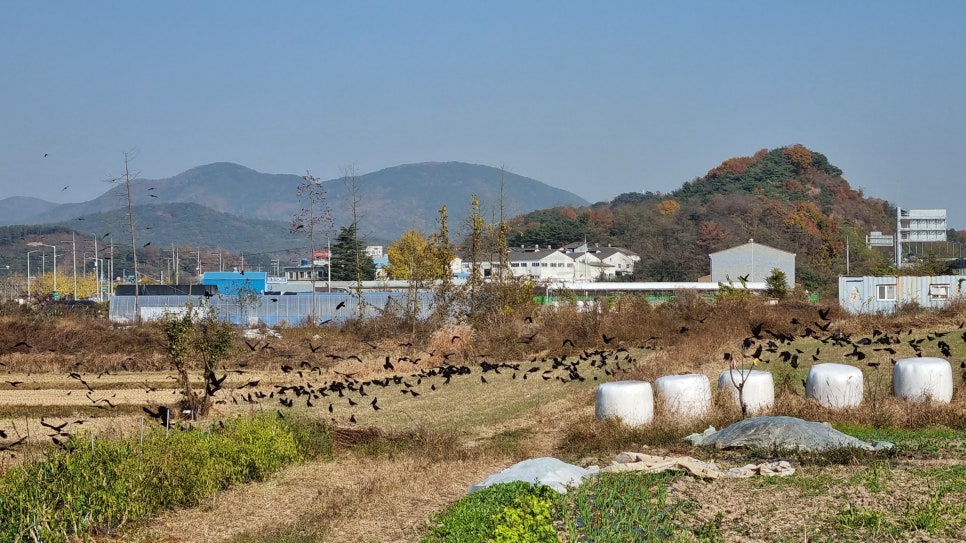 서종주 이미지