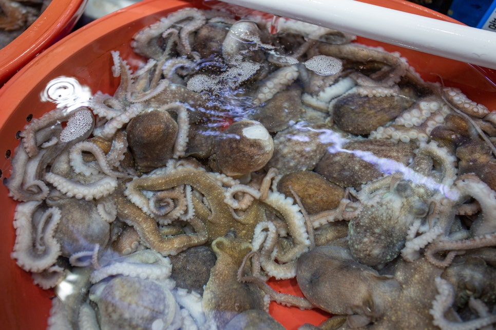 대신회식당 이미지