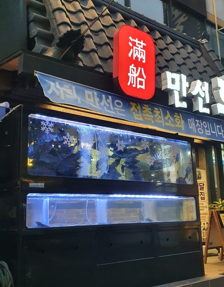 만선참가자미 이미지