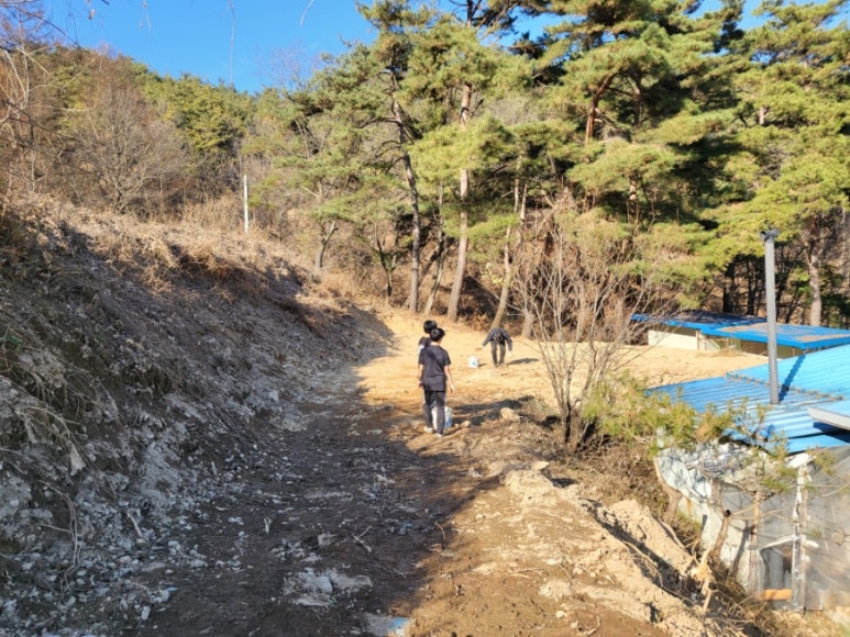 영성조경 이미지
