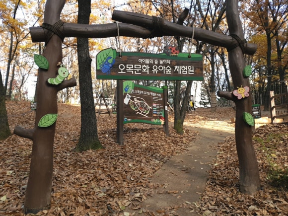 오목문화 유아숲체험원 이미지