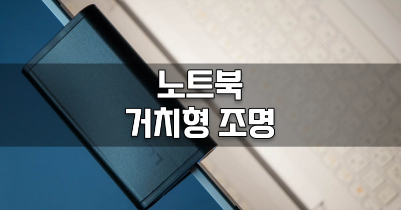본럭시 이미지