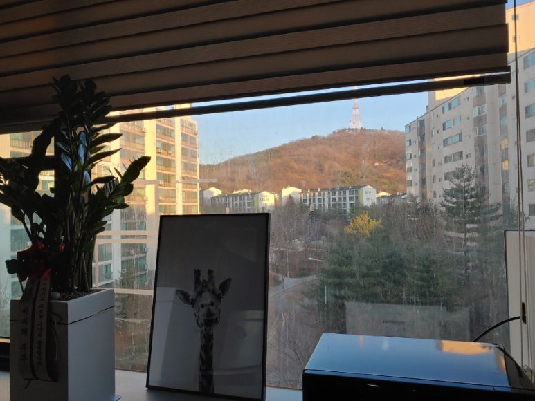 쿠키앤제이 이미지