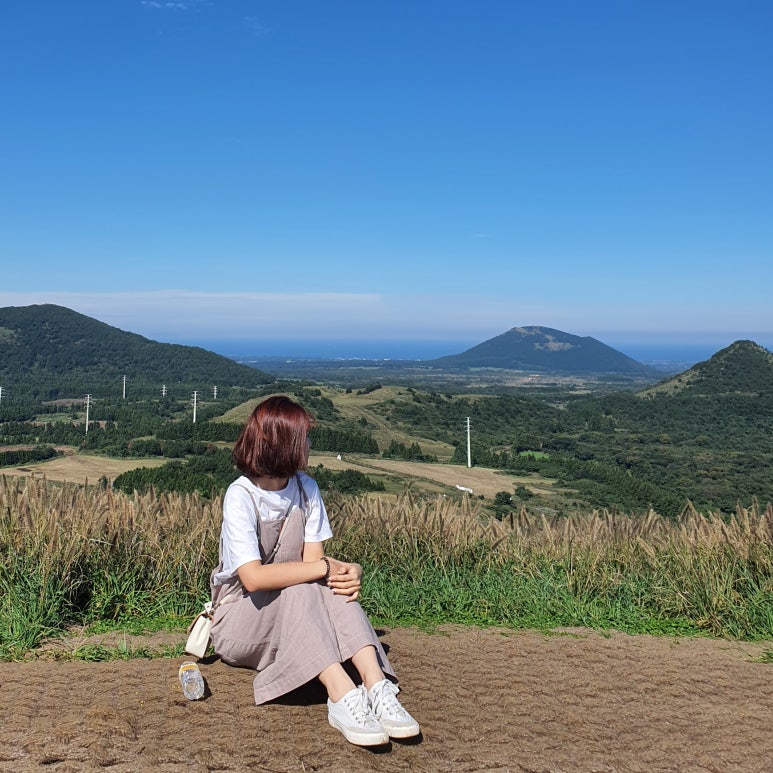 구좌주유소 이미지