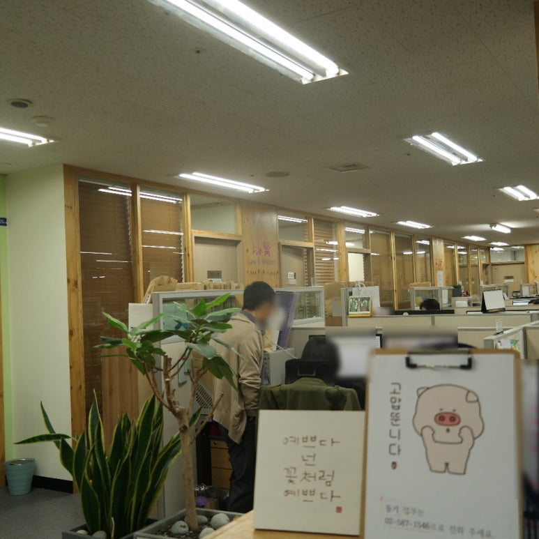 본향상조 이미지