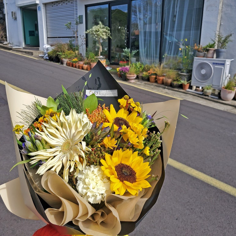 플로제 이미지