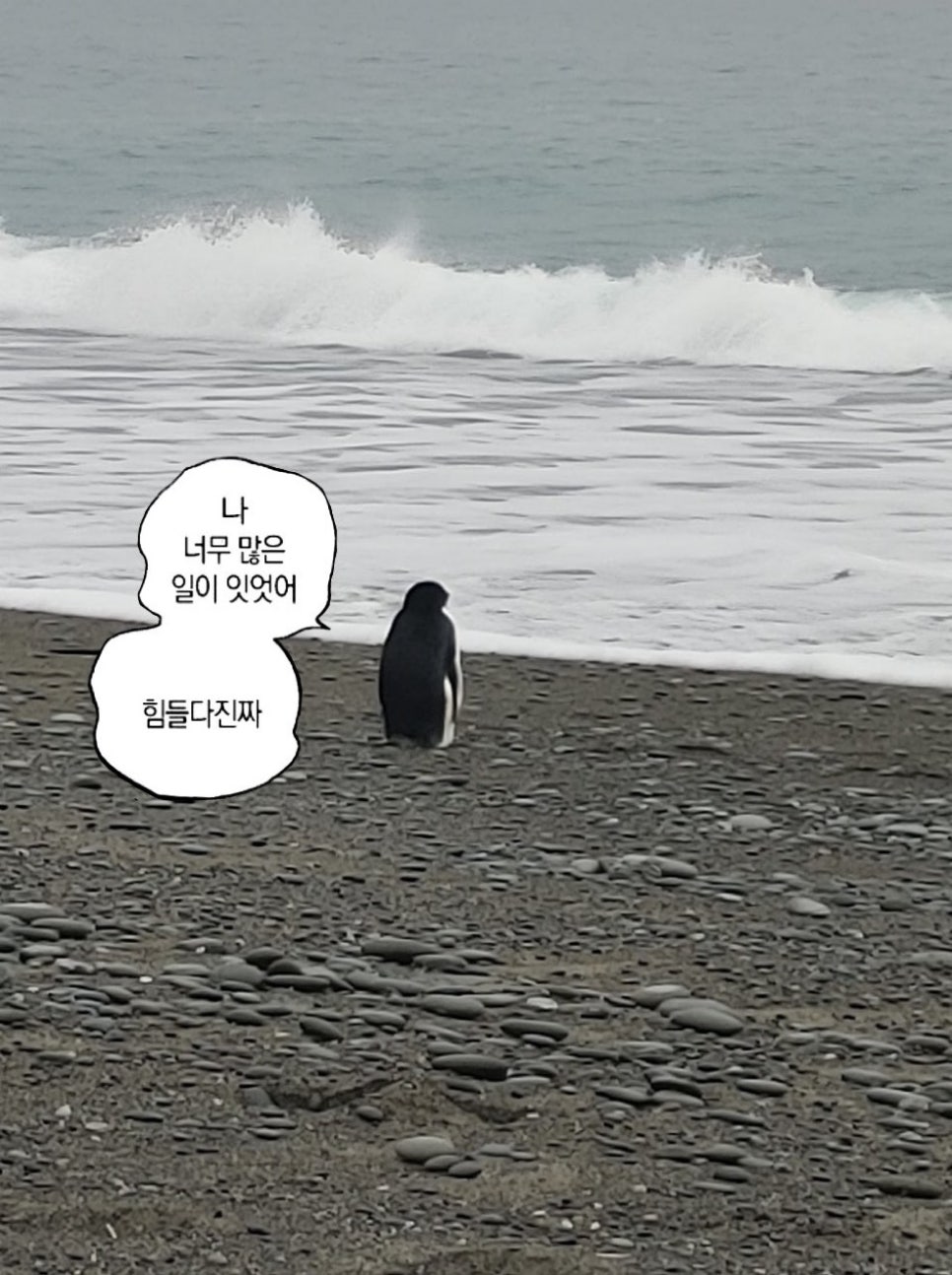 와이제이케이 이미지
