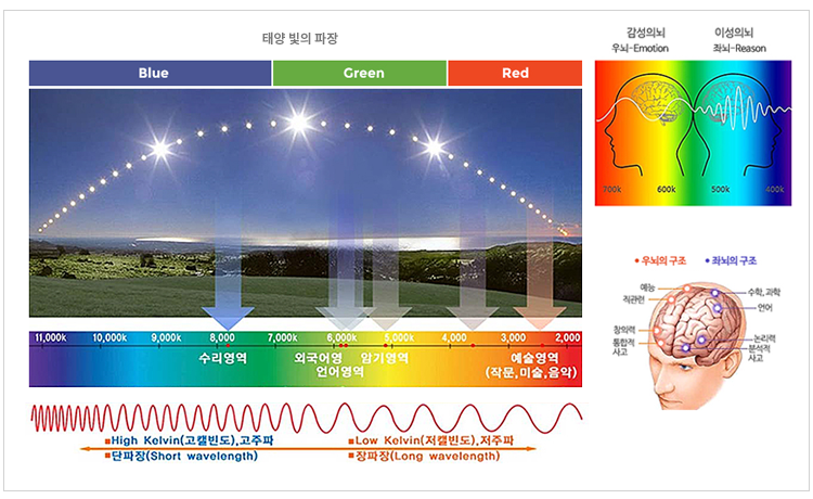 콤마스터디카페 이미지