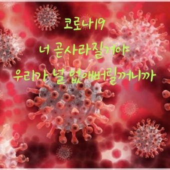 라임샵 이미지
