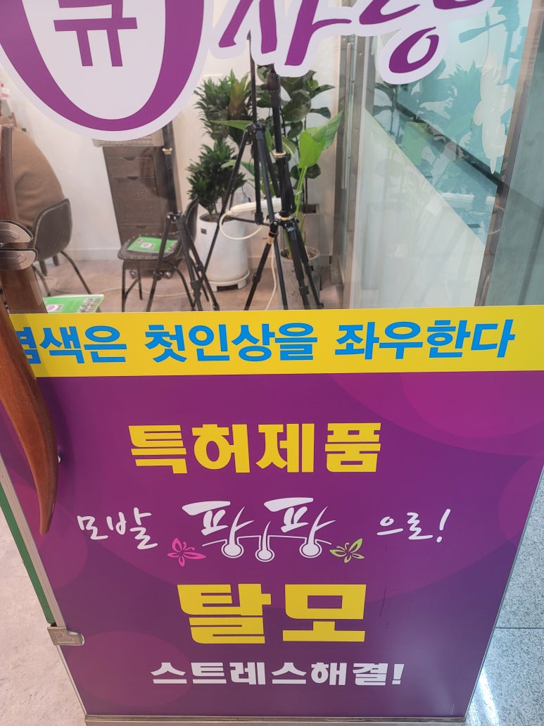 큐사랑대전 이미지
