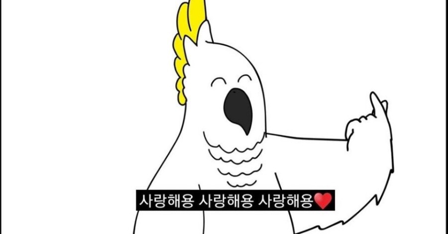 희희희 이미지