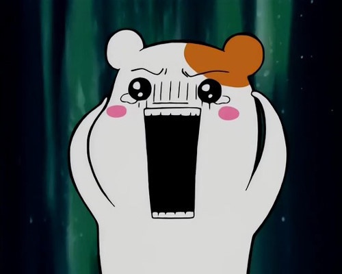 요지트 이미지
