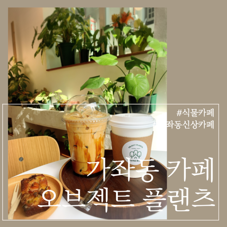 오브젝트플랜츠 이미지