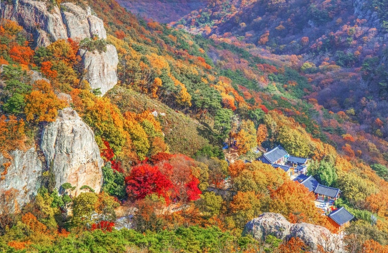 도솔초당 이미지
