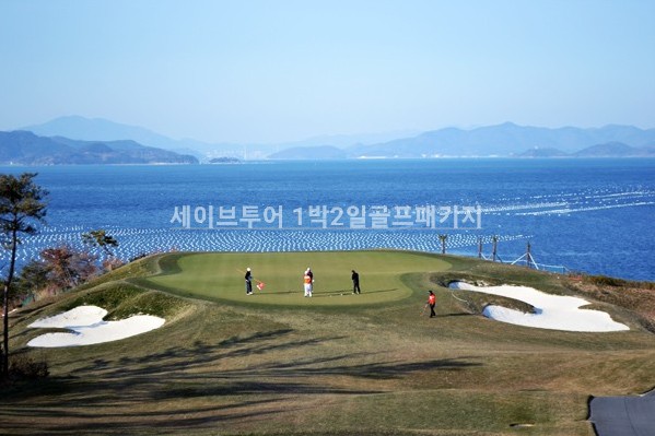 슬기로운골프생활 이미지
