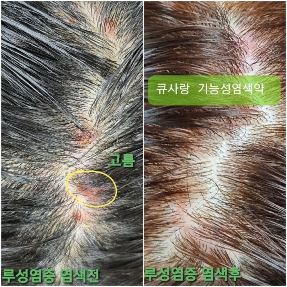 큐사랑대전 이미지