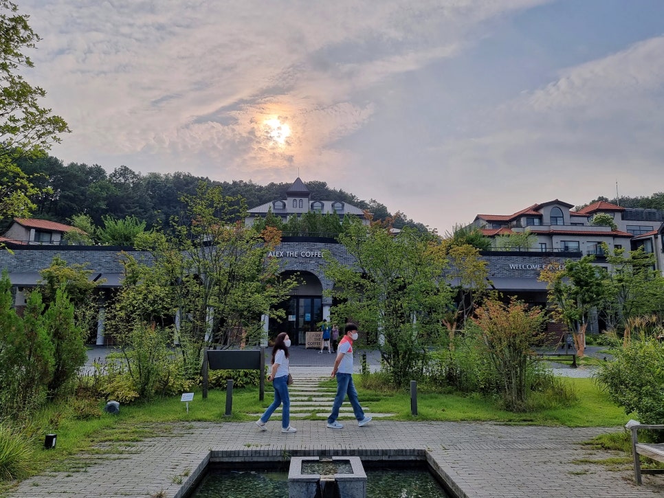 파라다이스힐링 이미지
