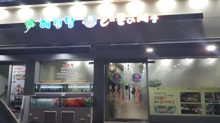 이문어세상 이미지