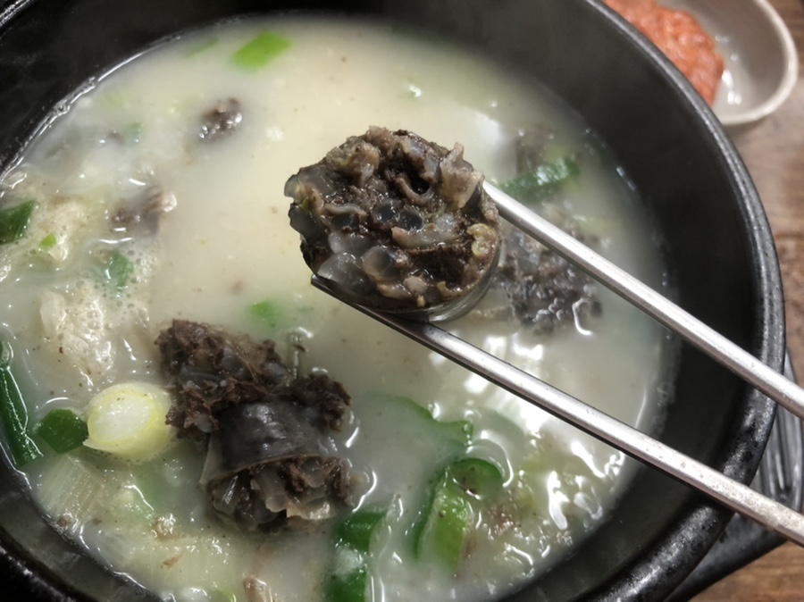 점심시간엔 이미지