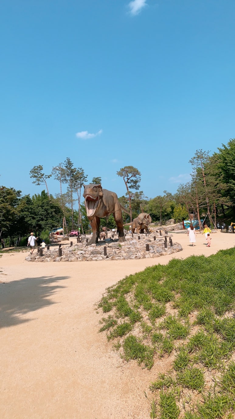 수피아 이미지