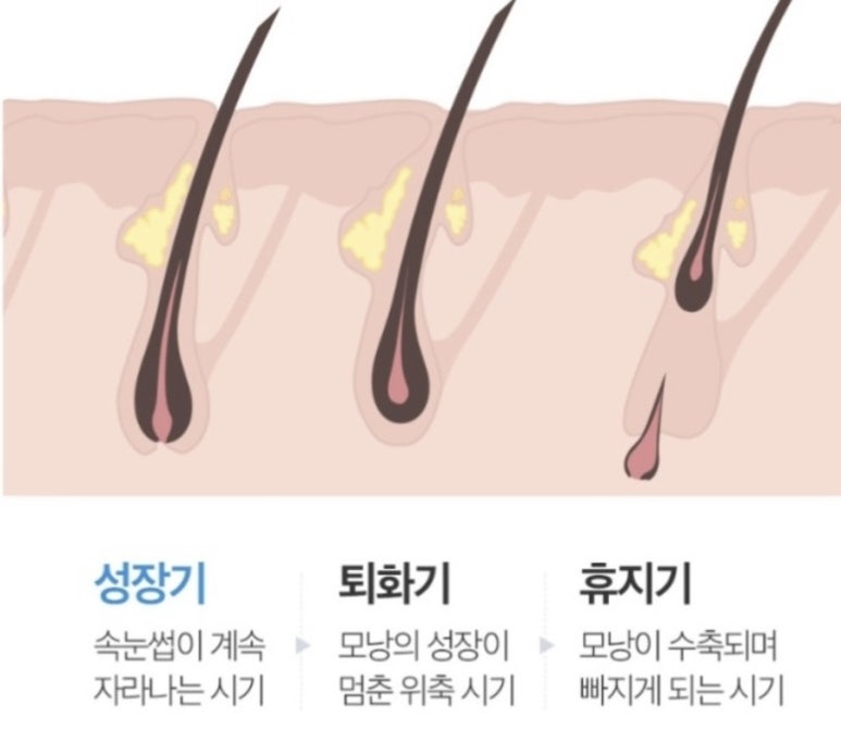 미뉴앳뷰티 이미지
