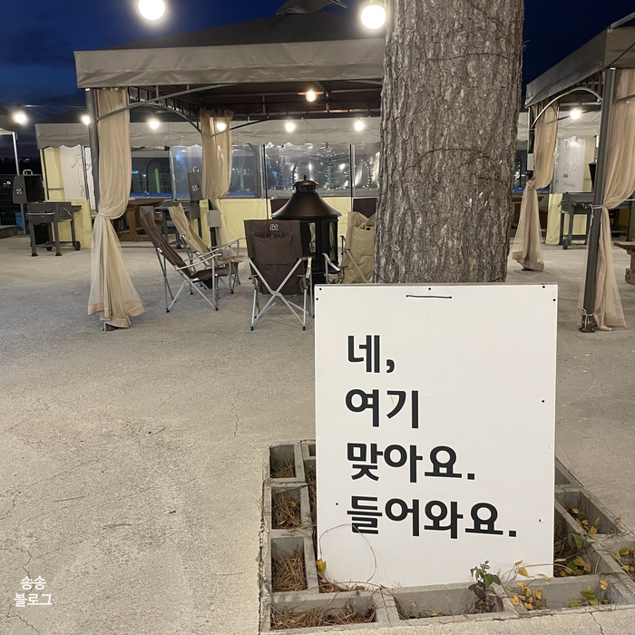 일구구사 이미지