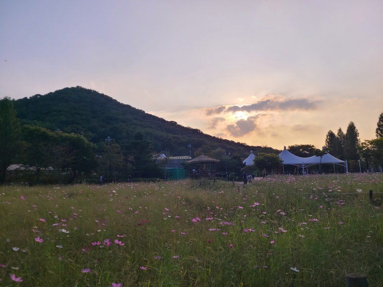 소소상점 이미지