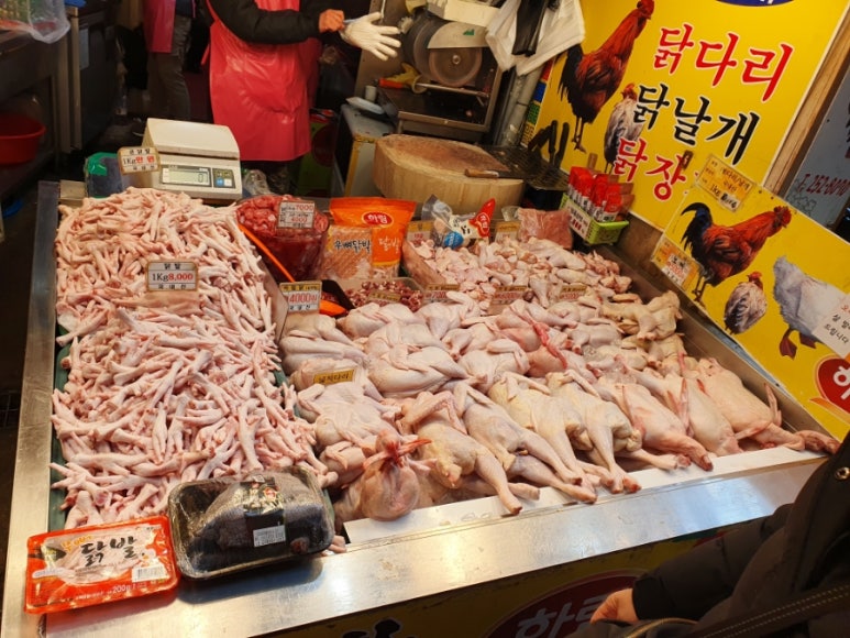 싱싱닭집 이미지