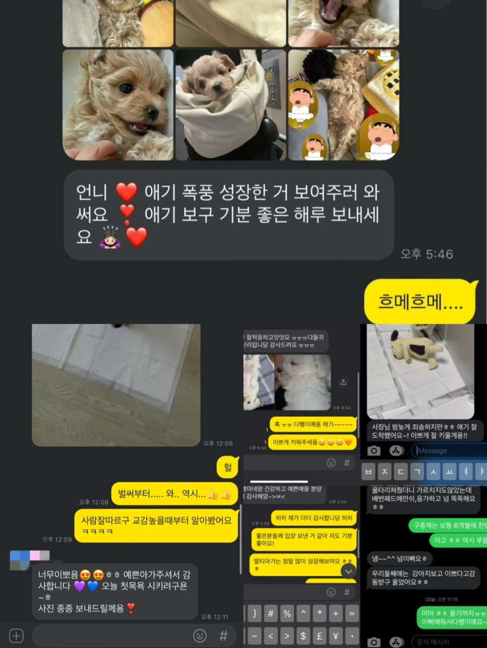 땡삼 이미지