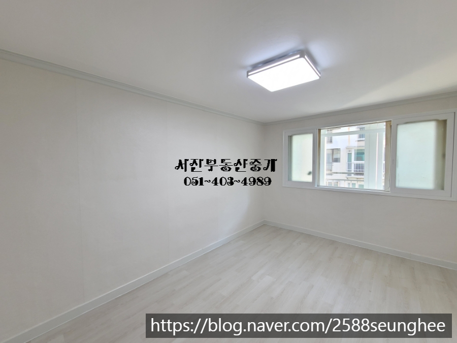 조양비취 이미지