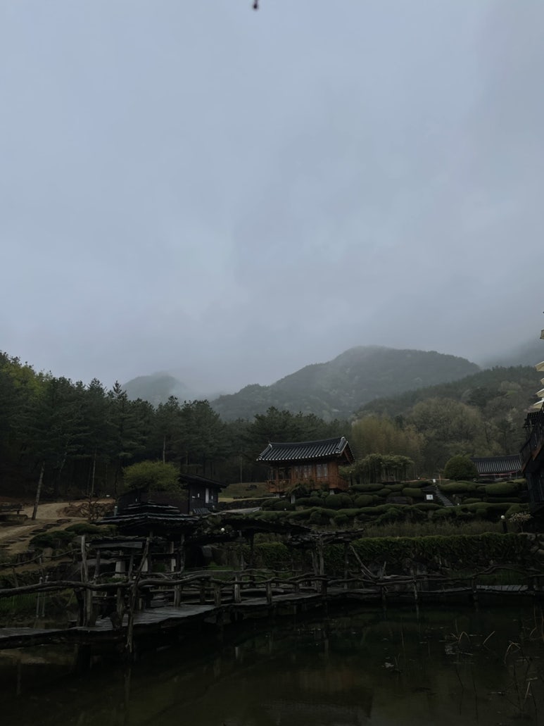 카페소라 이미지