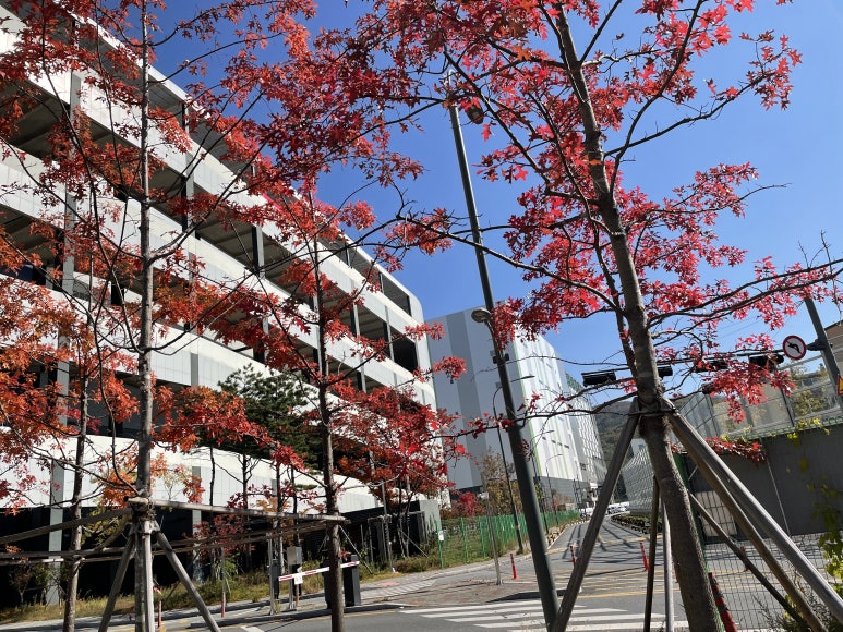 양지화장품 이미지