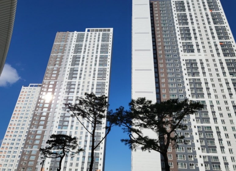 스센 이미지