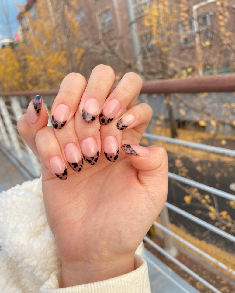 다뷰네일 이미지