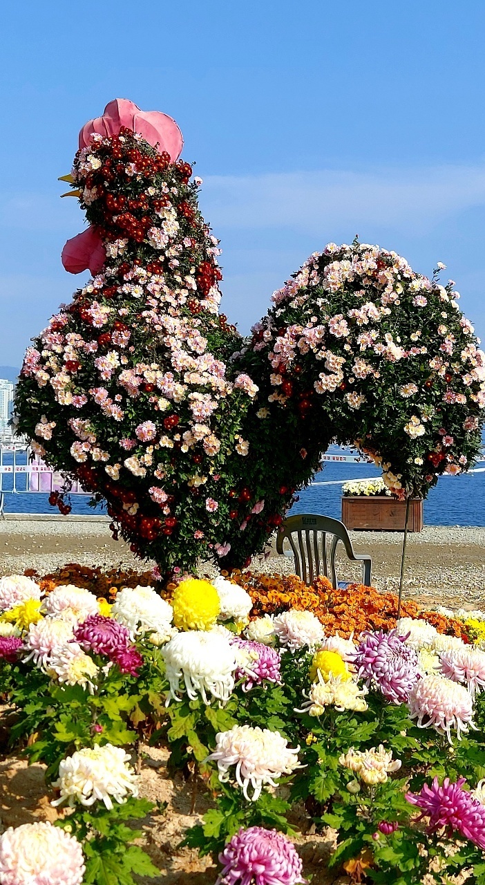 양말사랑 이미지